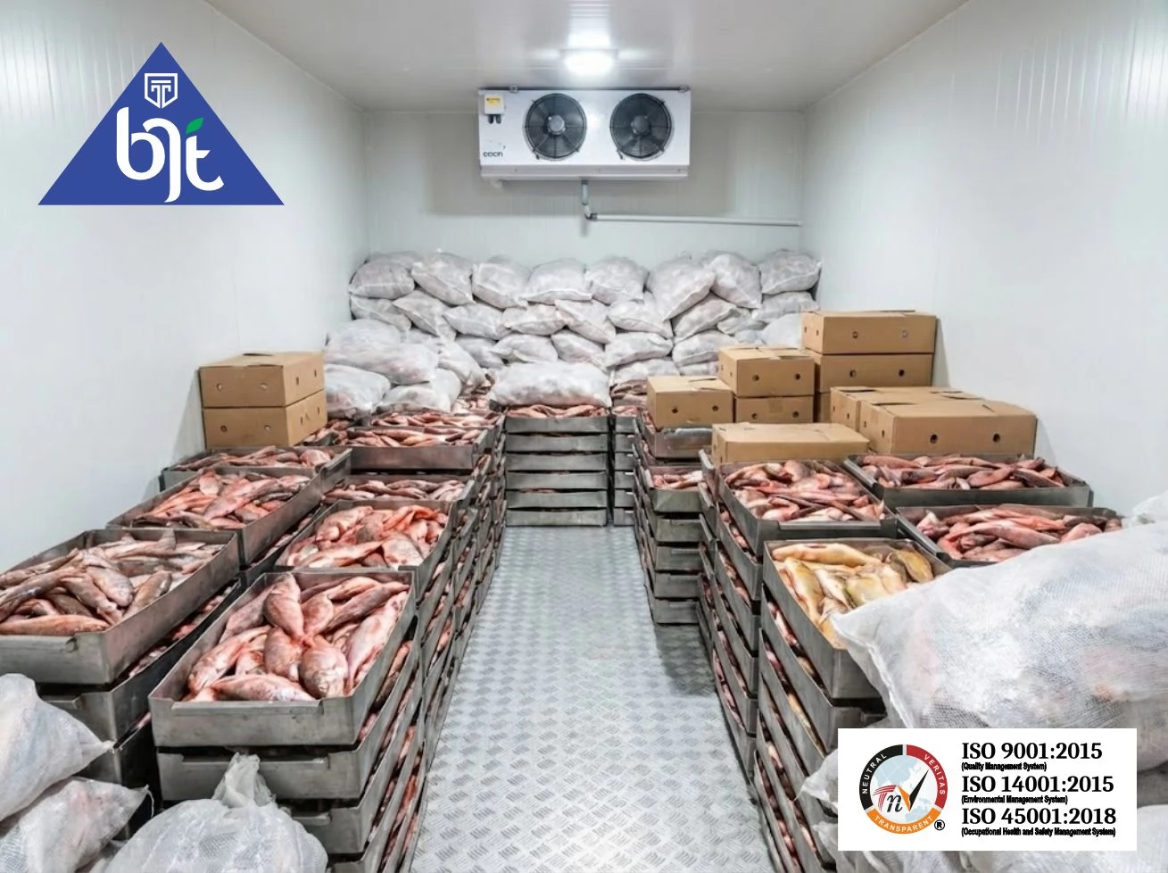 Cold Storage Freezer Ikan Beku: Menjaga Mutu & Profitabilitas Industri Perikanan